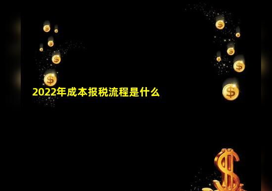 2022年成本报税流程是什么