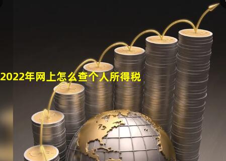 2022年网上怎么查个人所得税