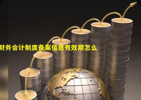 2022年财务会计制度备案信息有效期怎么填