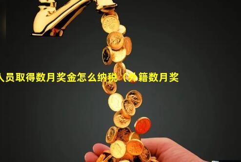 外籍人员取得数月奖金怎么纳税（外籍数月奖金计税）