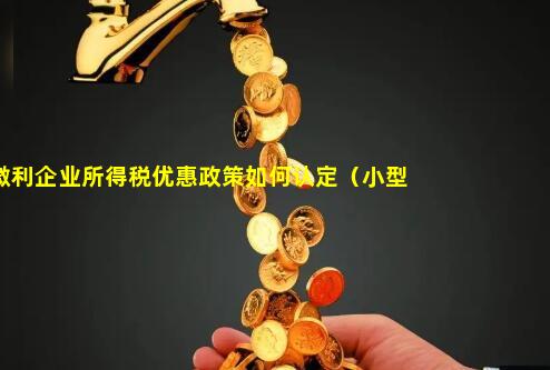 小型微利企业所得税优惠政策如何认定（小型微利企业所得税优惠政策是什么）