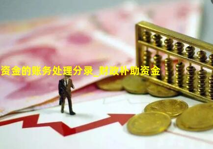 财政补助资金的账务处理分录_财政补助资金的账务处理