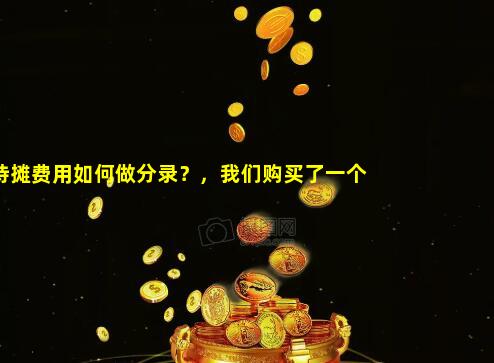 长期待摊费用如何做分录？，我们购买了一个软件，款还没付